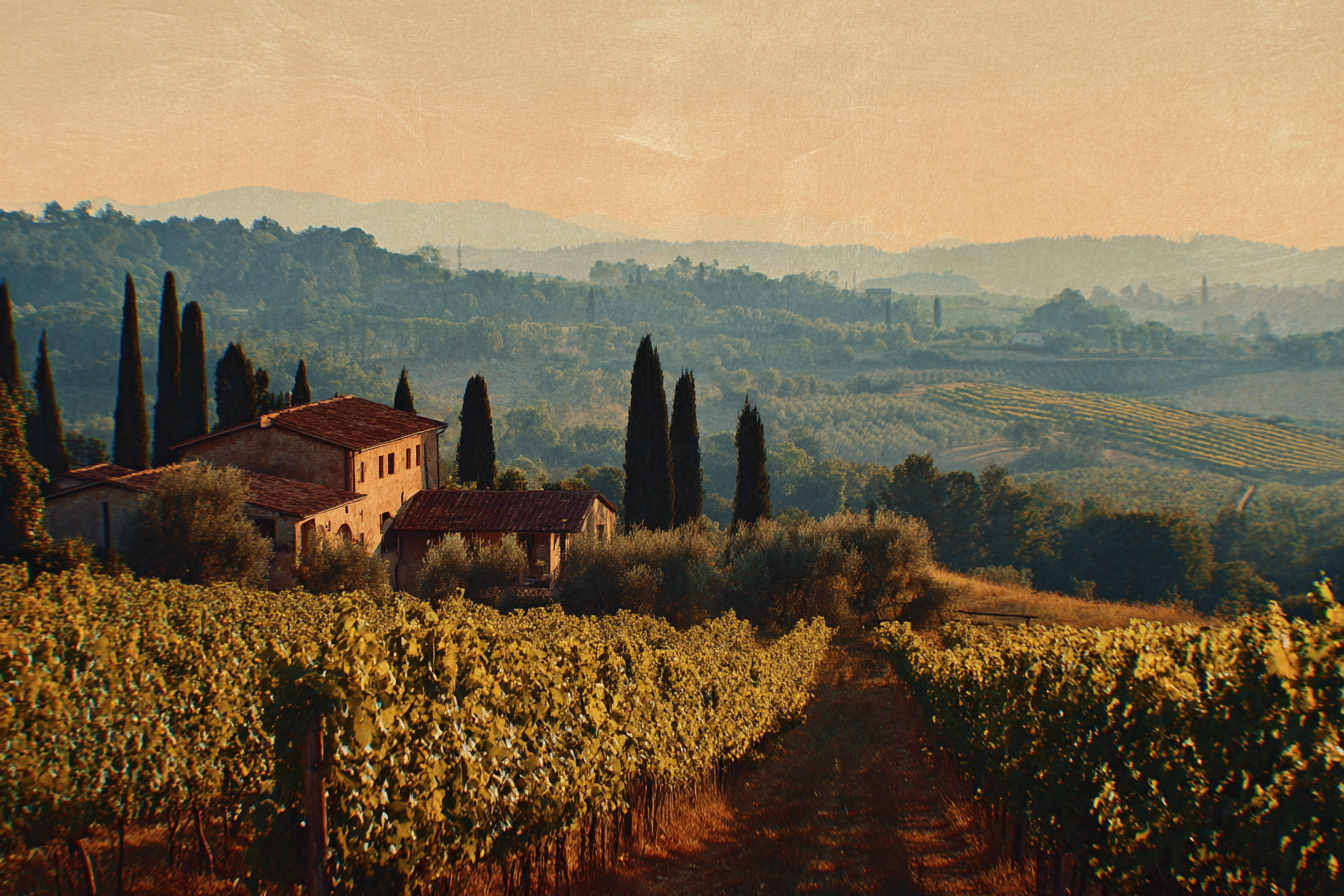 The estate at golden hour, vineyards rolling toward the Tuscan hills